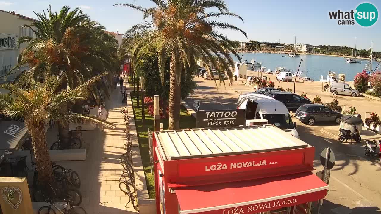 Camera en diecto Novalja – Obala Petra Krešimira IV
