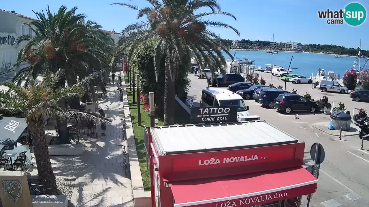 Camera en diecto Novalja – Obala Petra Krešimira IV