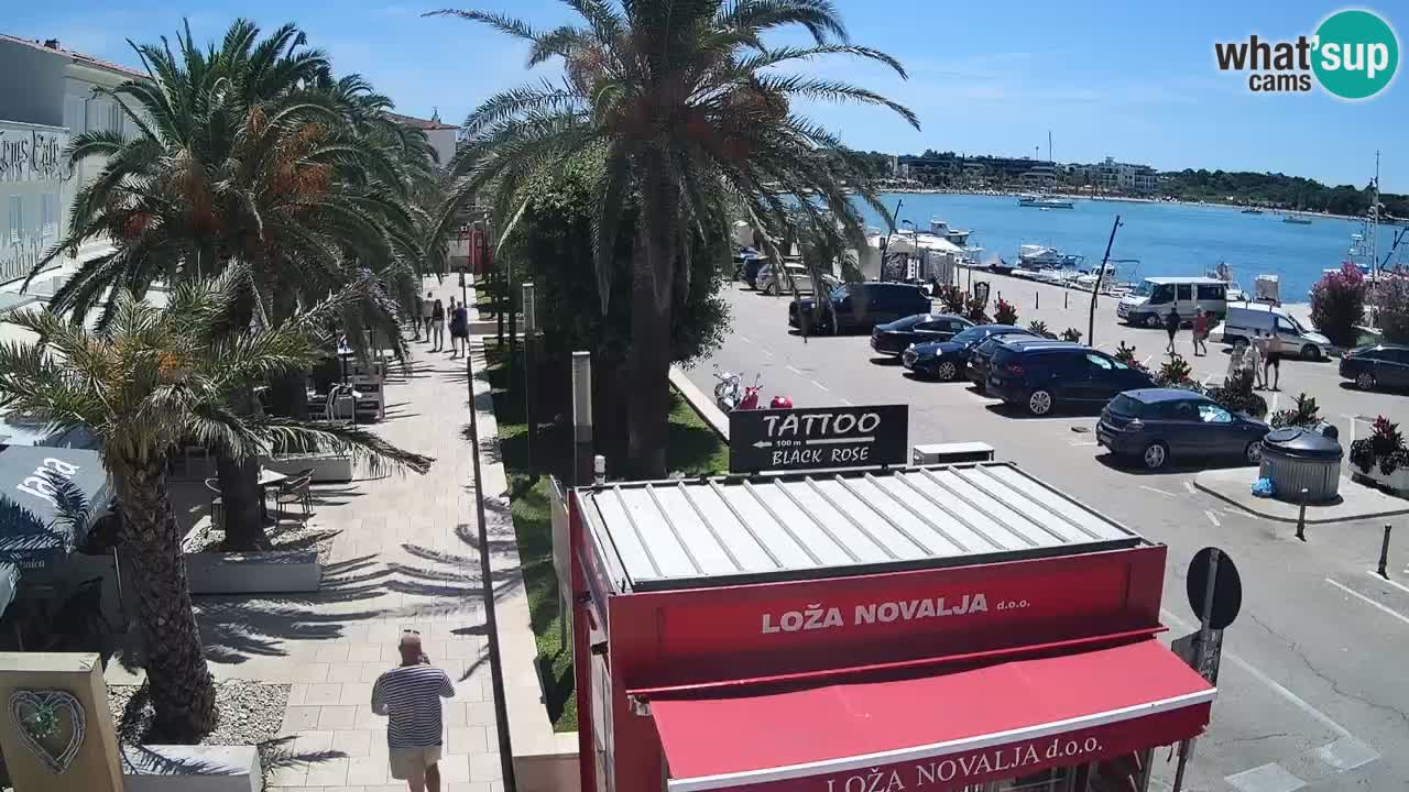 Camera en diecto Novalja – Obala Petra Krešimira IV
