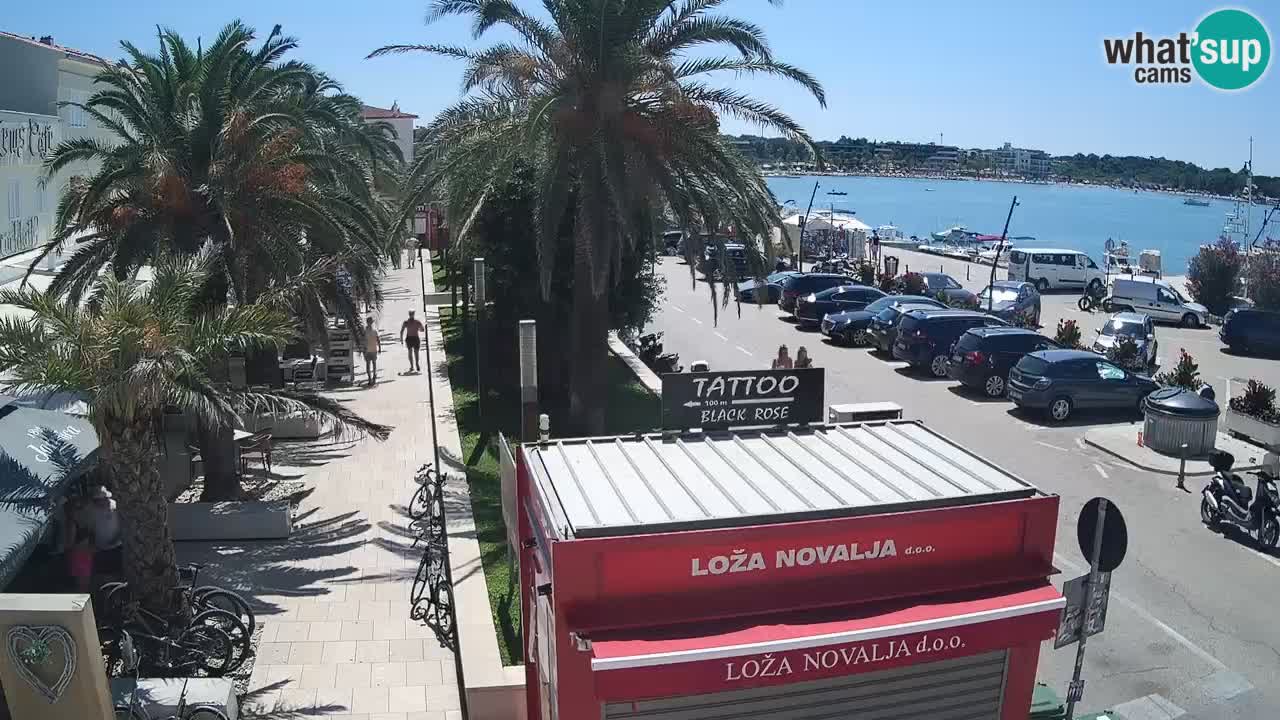 Live cam Novalja – Obala Petra Krešimira IV