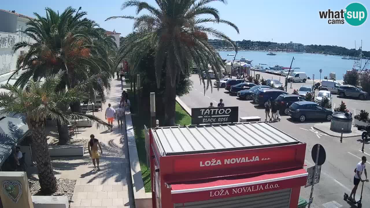 Camera en diecto Novalja – Obala Petra Krešimira IV