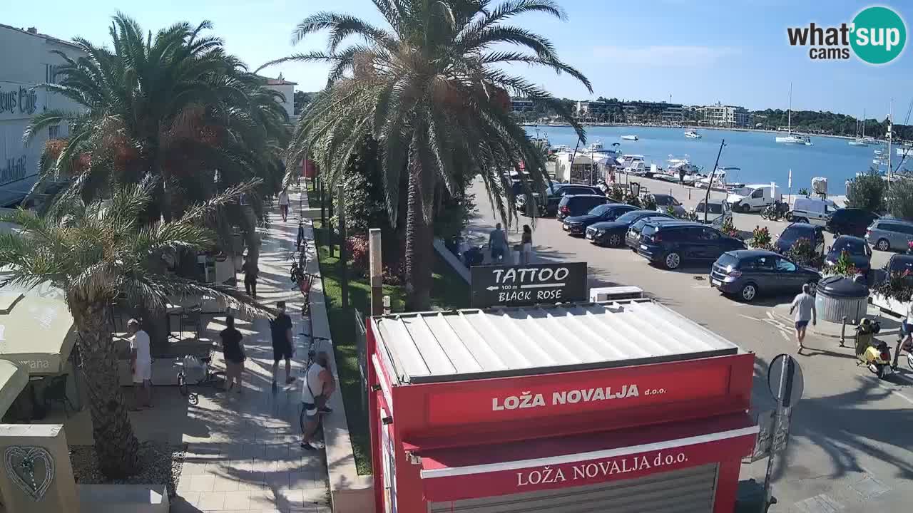 Spletna kamera Novalja – Obala Petra Krešimira IV