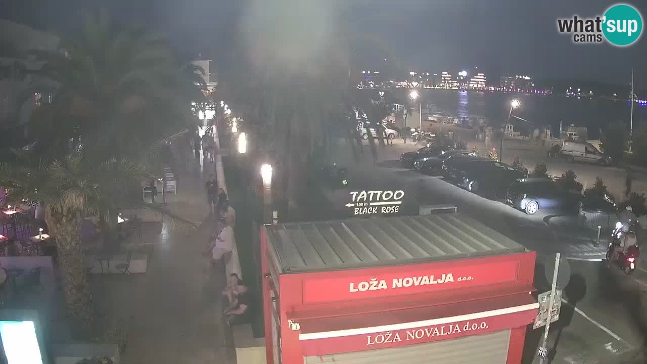 Camera en diecto Novalja – Obala Petra Krešimira IV