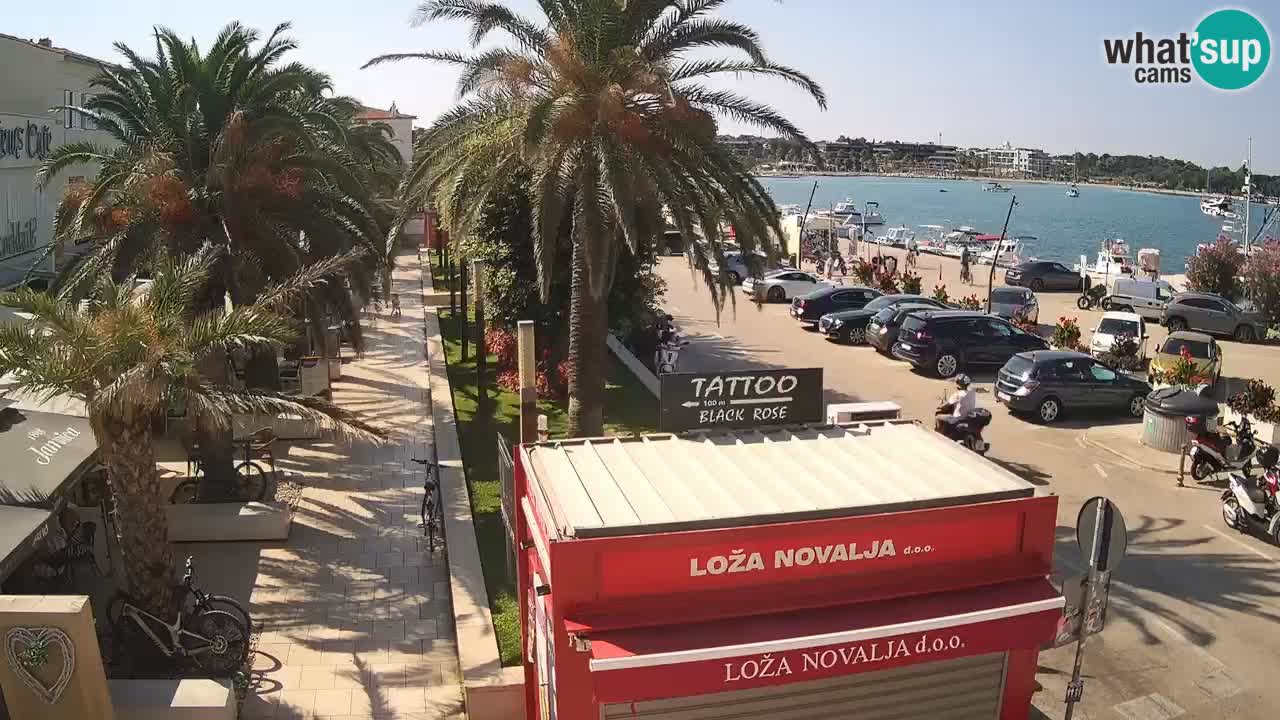 Live cam Novalja – Obala Petra Krešimira IV