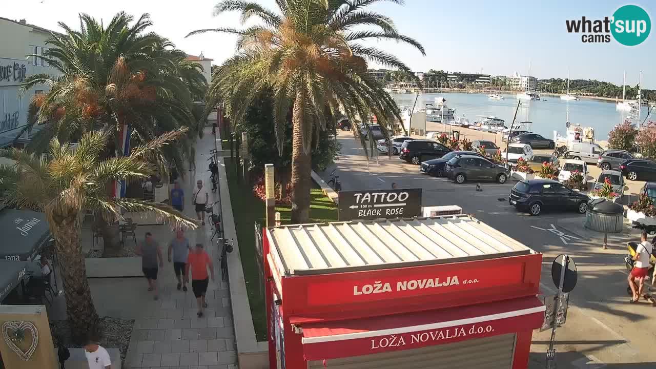 Camera en diecto Novalja – Obala Petra Krešimira IV
