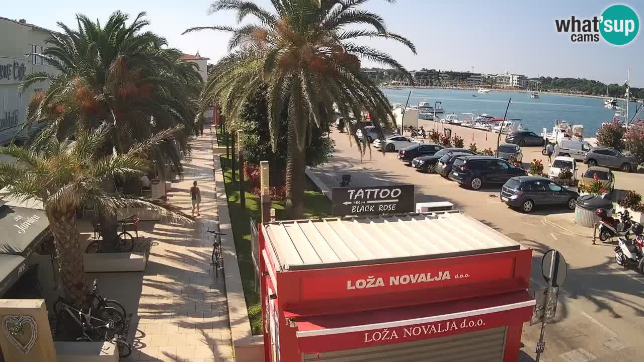 Web kamera Novalja – Obala Petra Krešimira IV