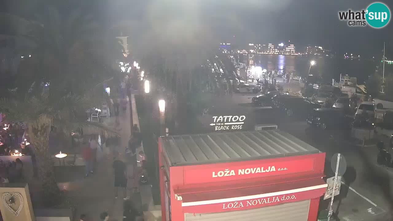 Camera en diecto Novalja – Obala Petra Krešimira IV