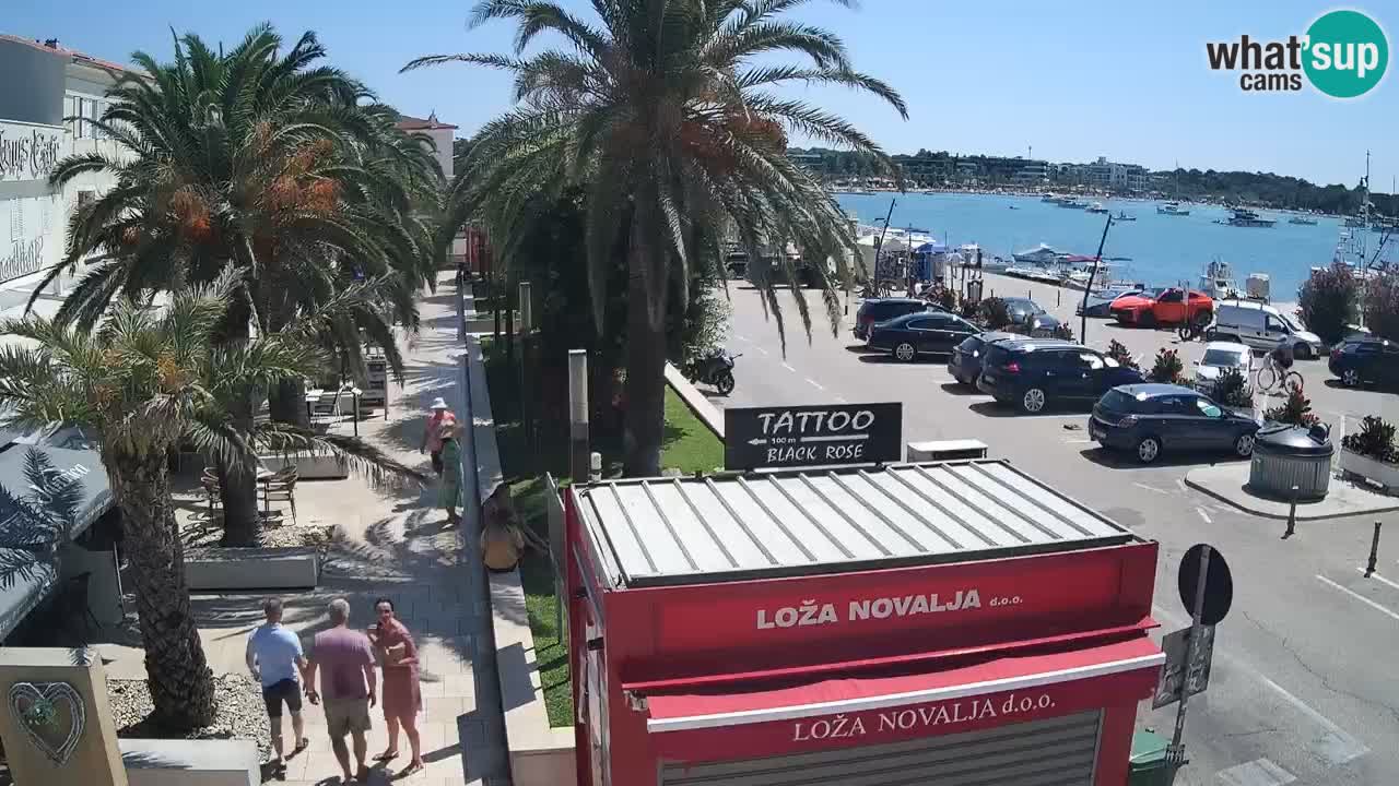 Webcam Novalja – Obala Petra Krešimira IV