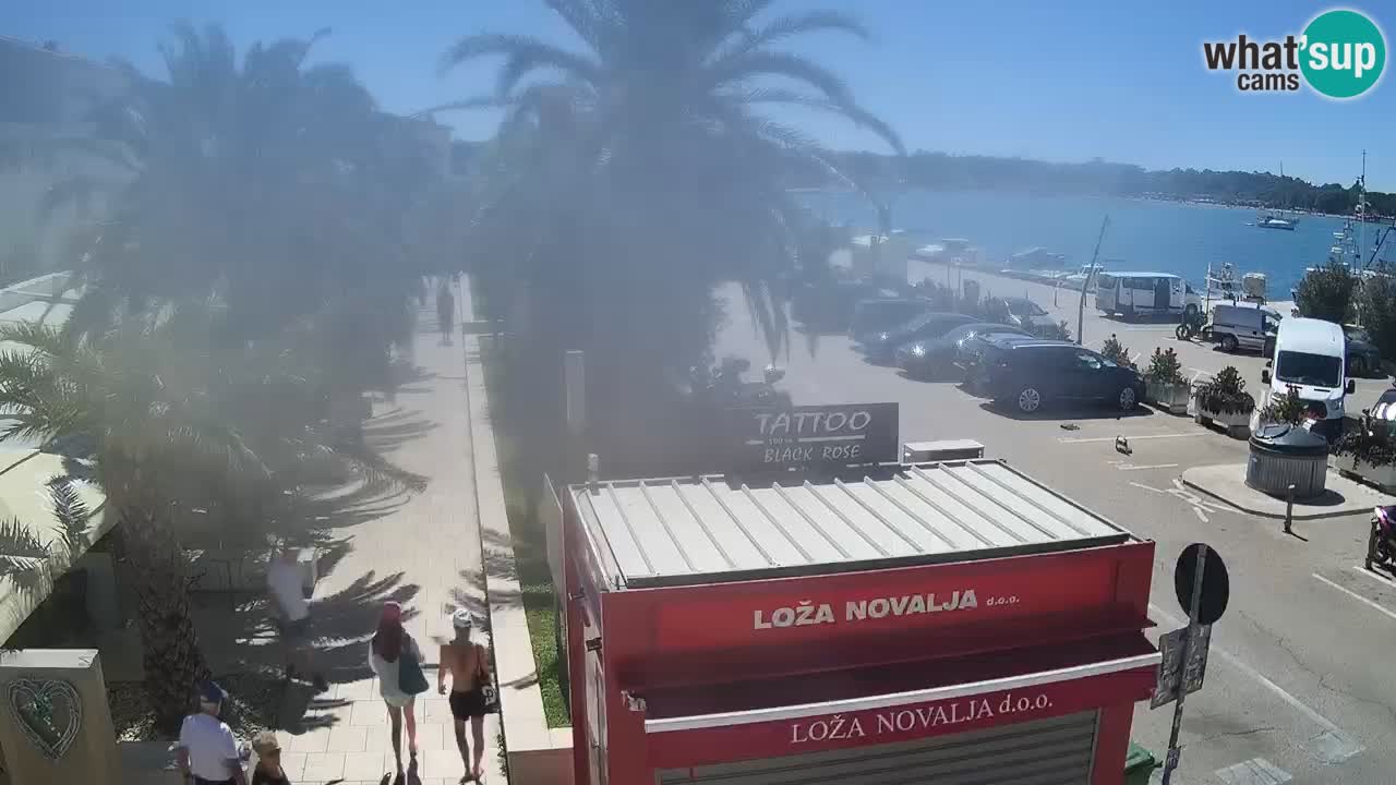 Camera en diecto Novalja – Obala Petra Krešimira IV
