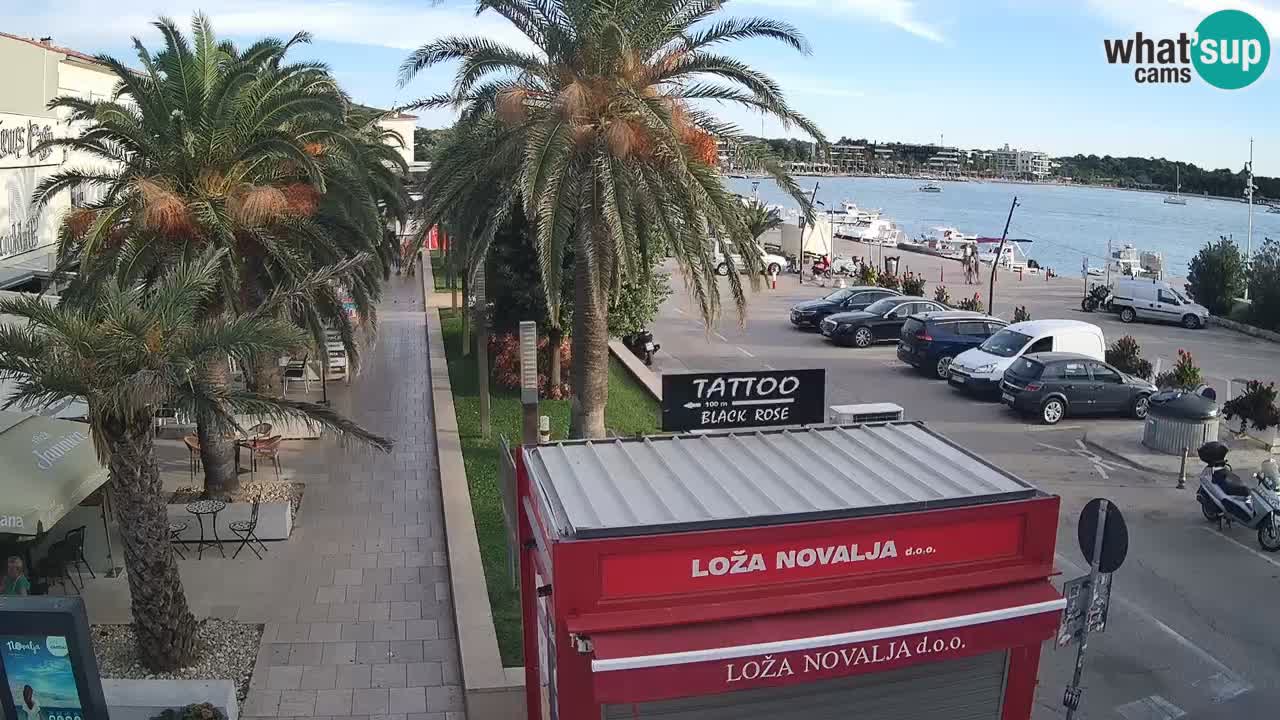 Camera en diecto Novalja – Obala Petra Krešimira IV