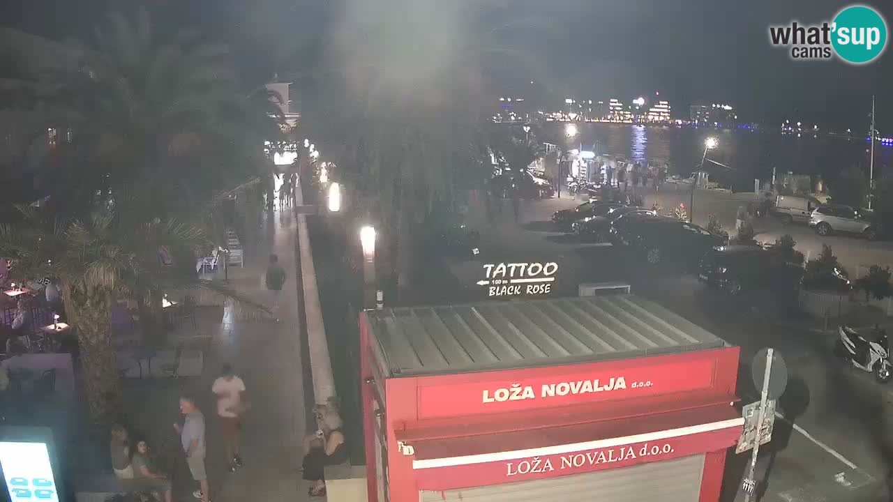 Camera en diecto Novalja – Obala Petra Krešimira IV