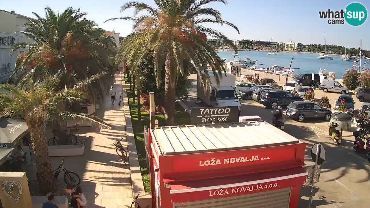 Live cam Novalja – Obala Petra Krešimira IV