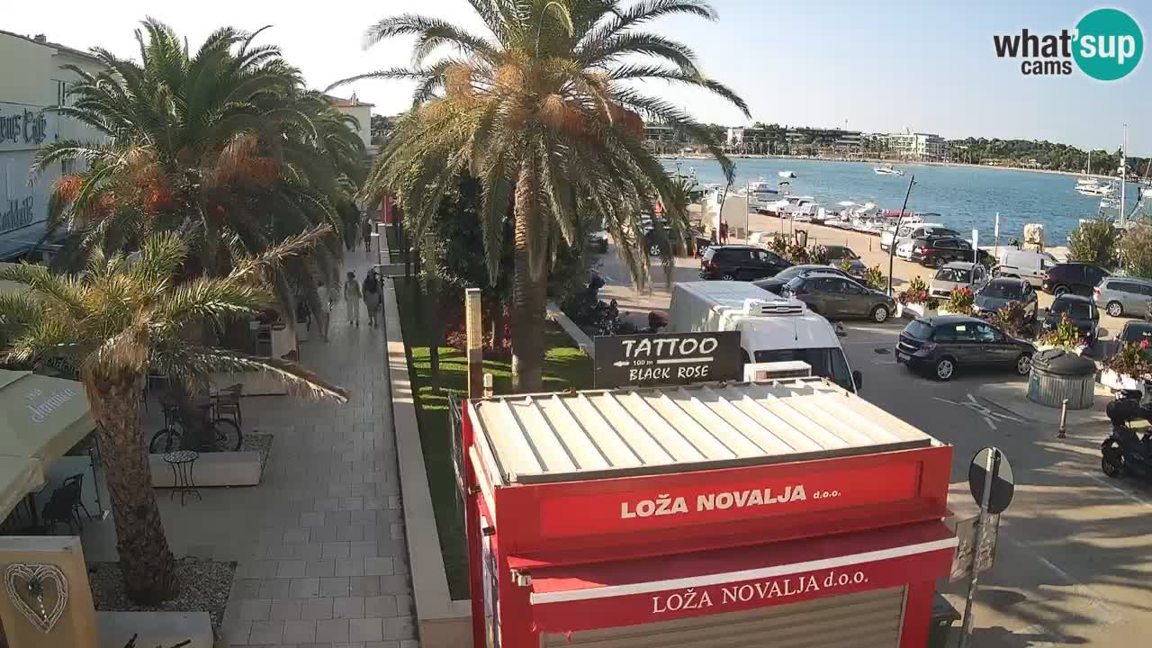 Spletna kamera Novalja – Obala Petra Krešimira IV