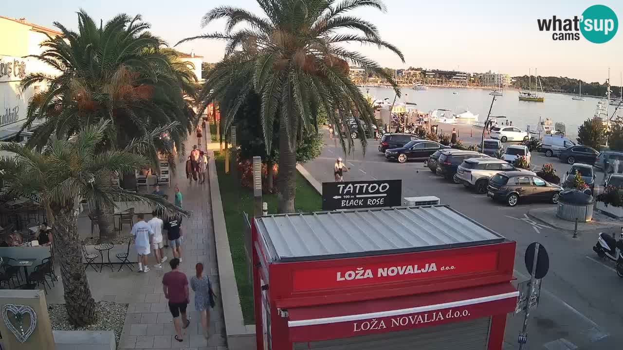 Camera en diecto Novalja – Obala Petra Krešimira IV