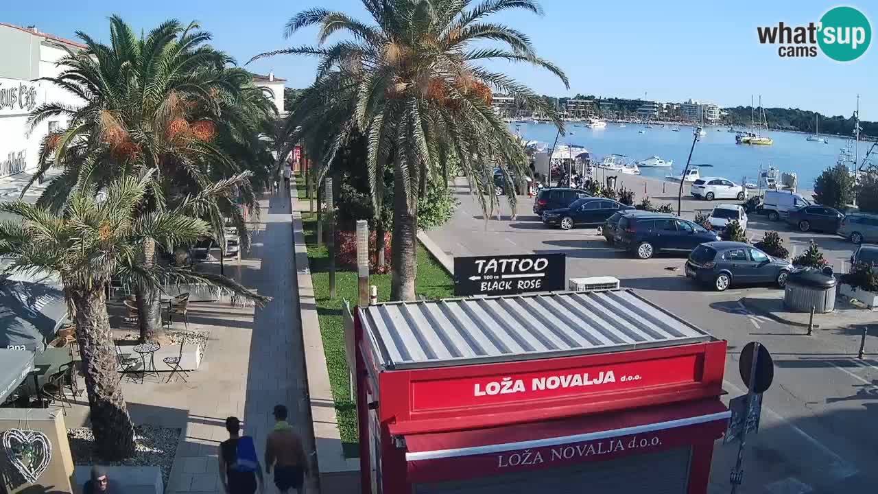 Live cam Novalja – Obala Petra Krešimira IV