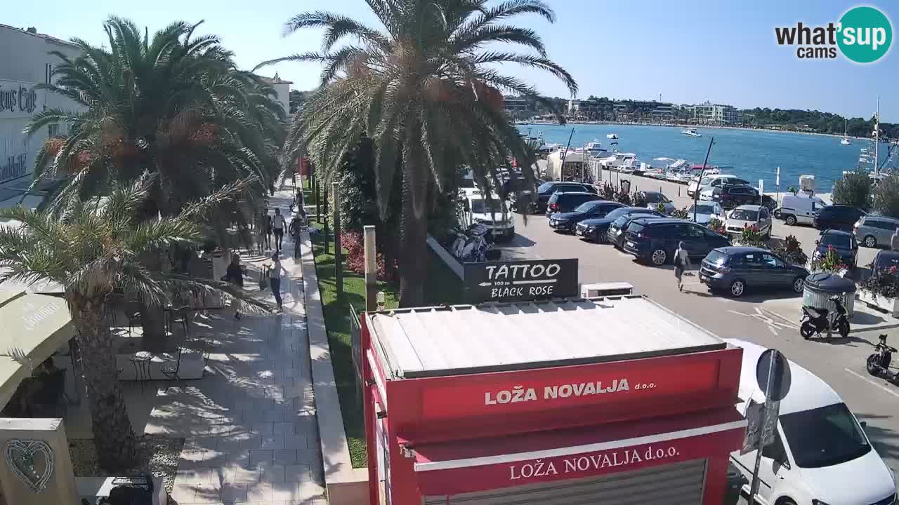 Web kamera Novalja – Obala Petra Krešimira IV