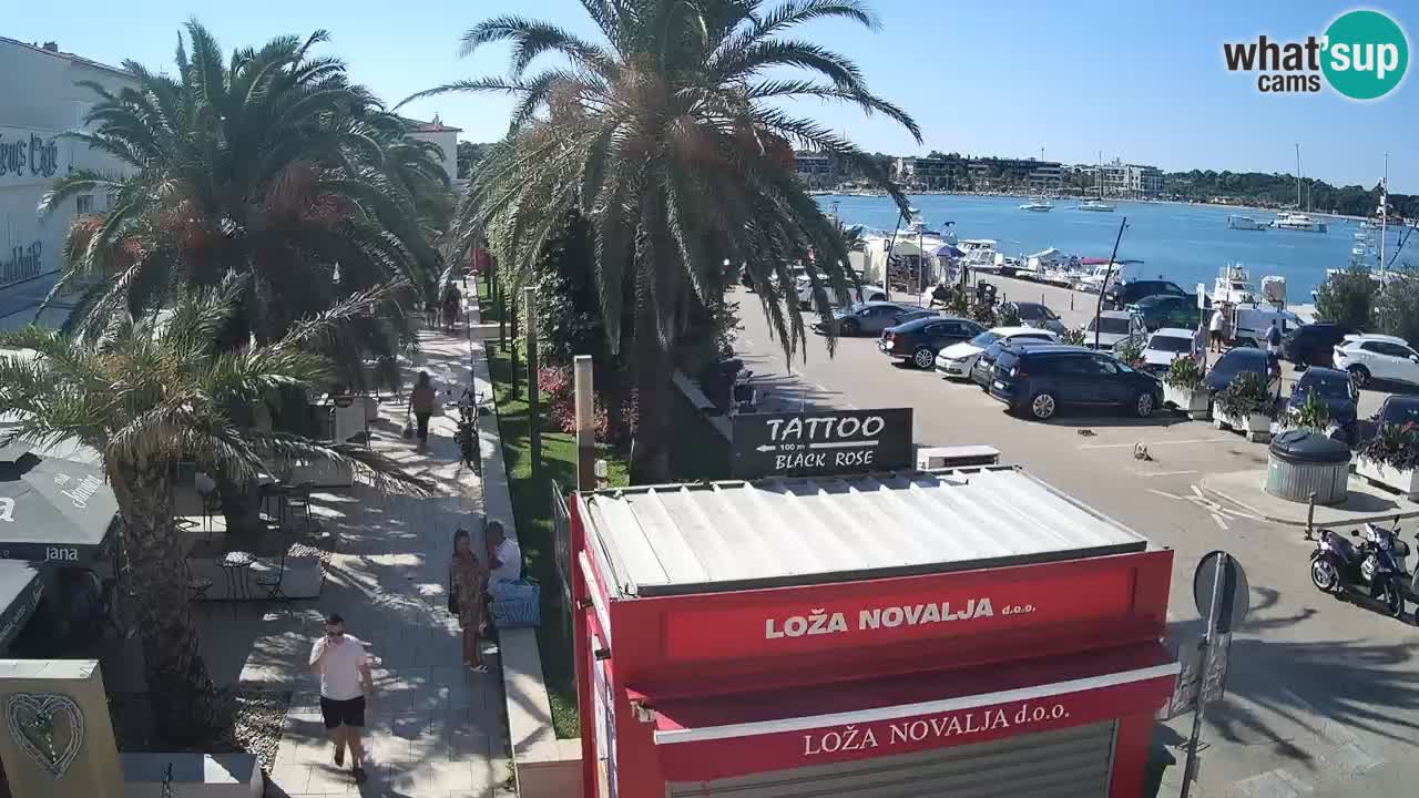 Web kamera Novalja – Obala Petra Krešimira IV