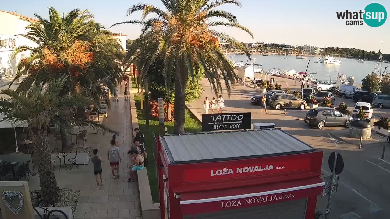 Camera en diecto Novalja – Obala Petra Krešimira IV