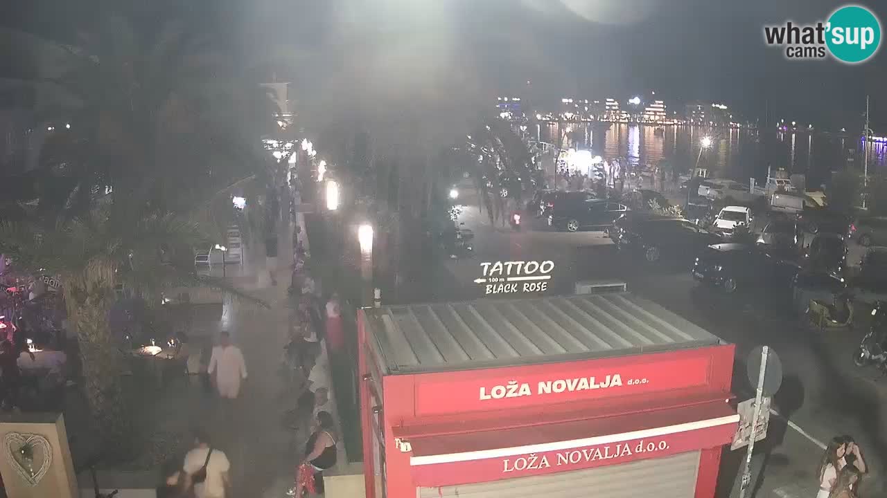 Camera en diecto Novalja – Obala Petra Krešimira IV