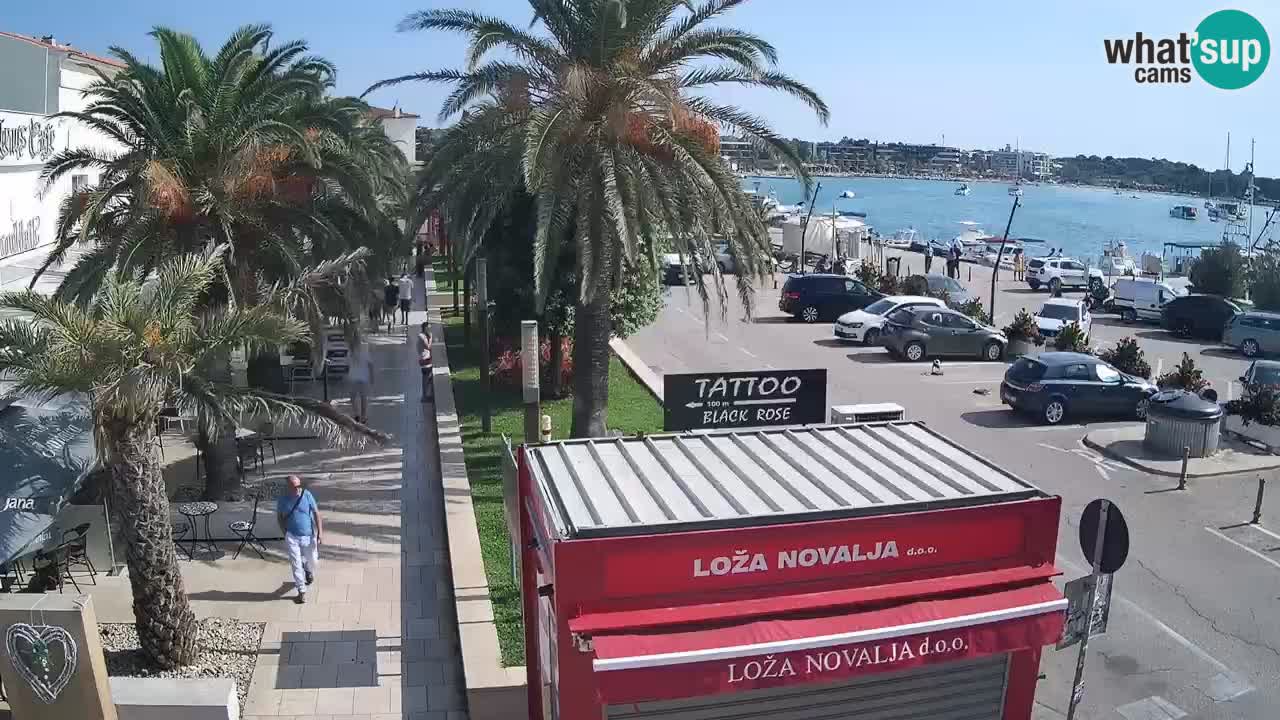 Camera en diecto Novalja – Obala Petra Krešimira IV