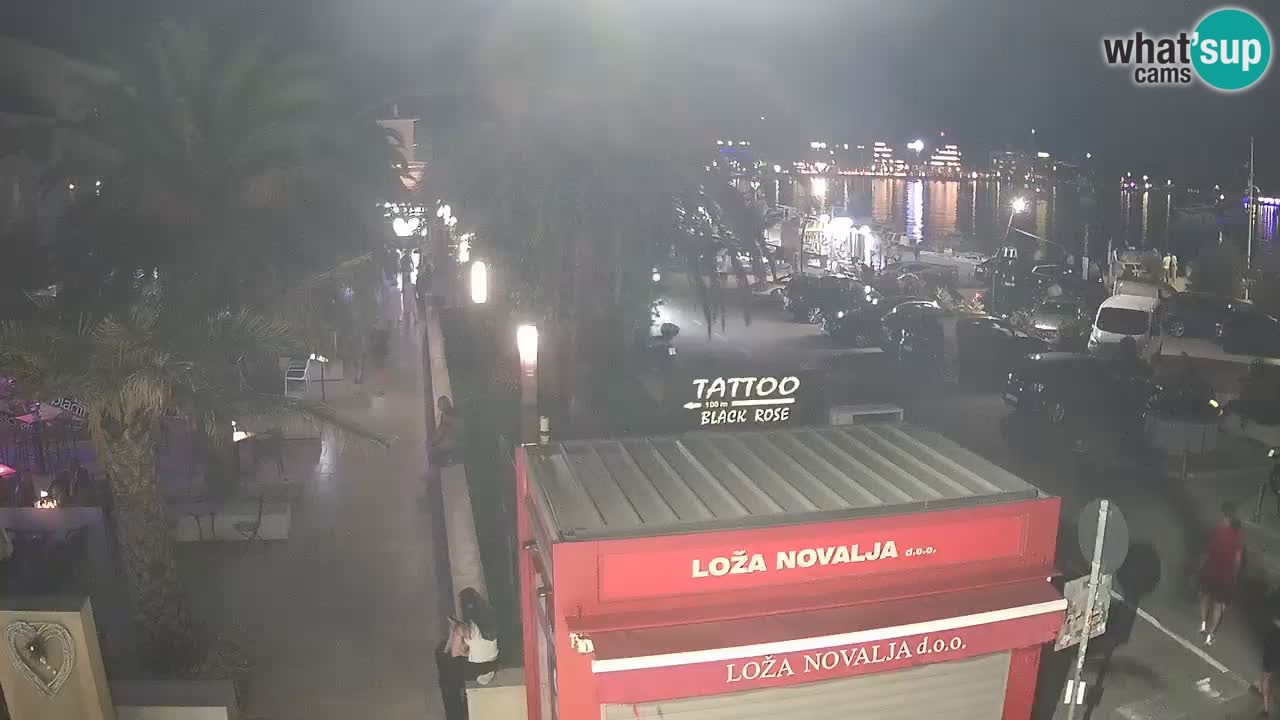 Camera en diecto Novalja – Obala Petra Krešimira IV