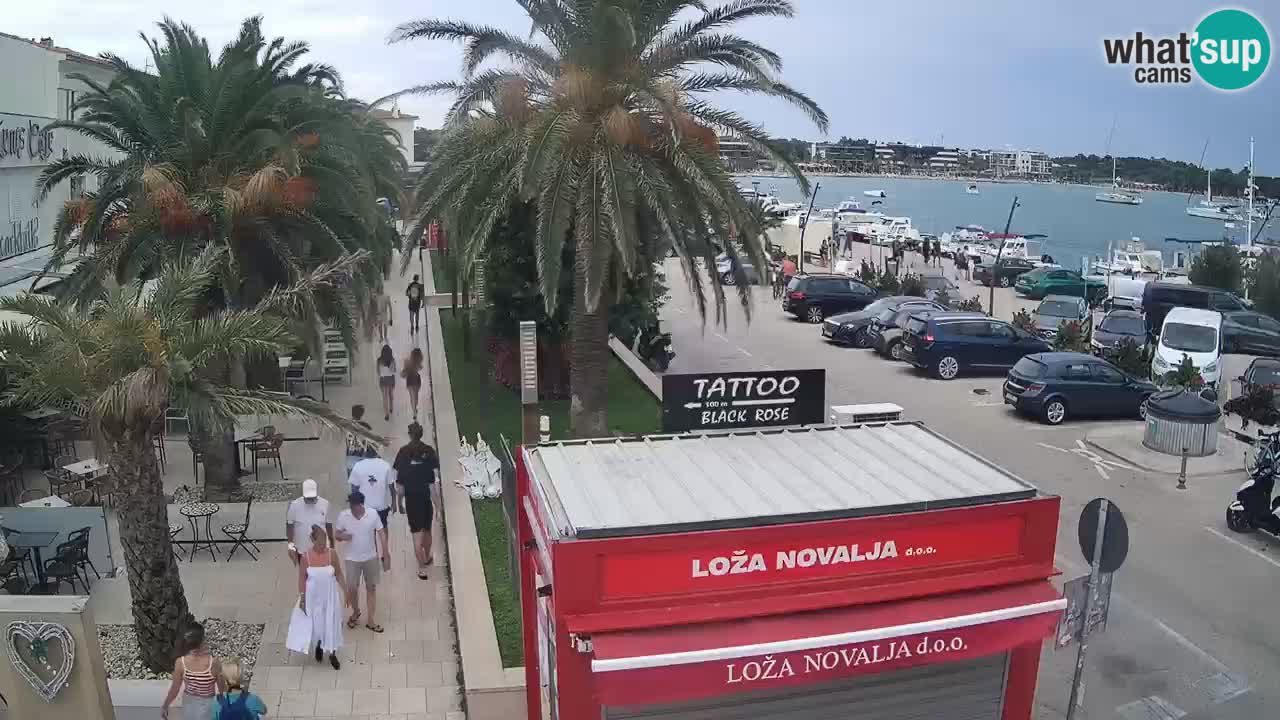 Camera en diecto Novalja – Obala Petra Krešimira IV