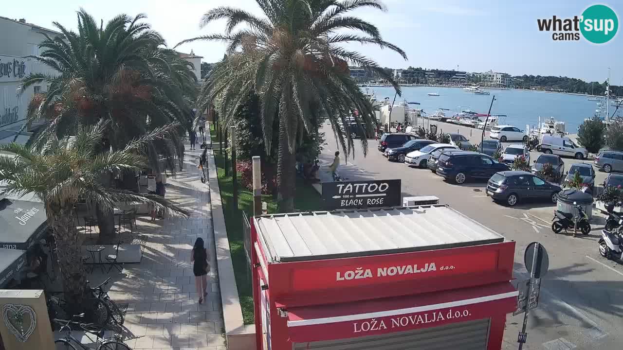Web kamera Novalja – Obala Petra Krešimira IV