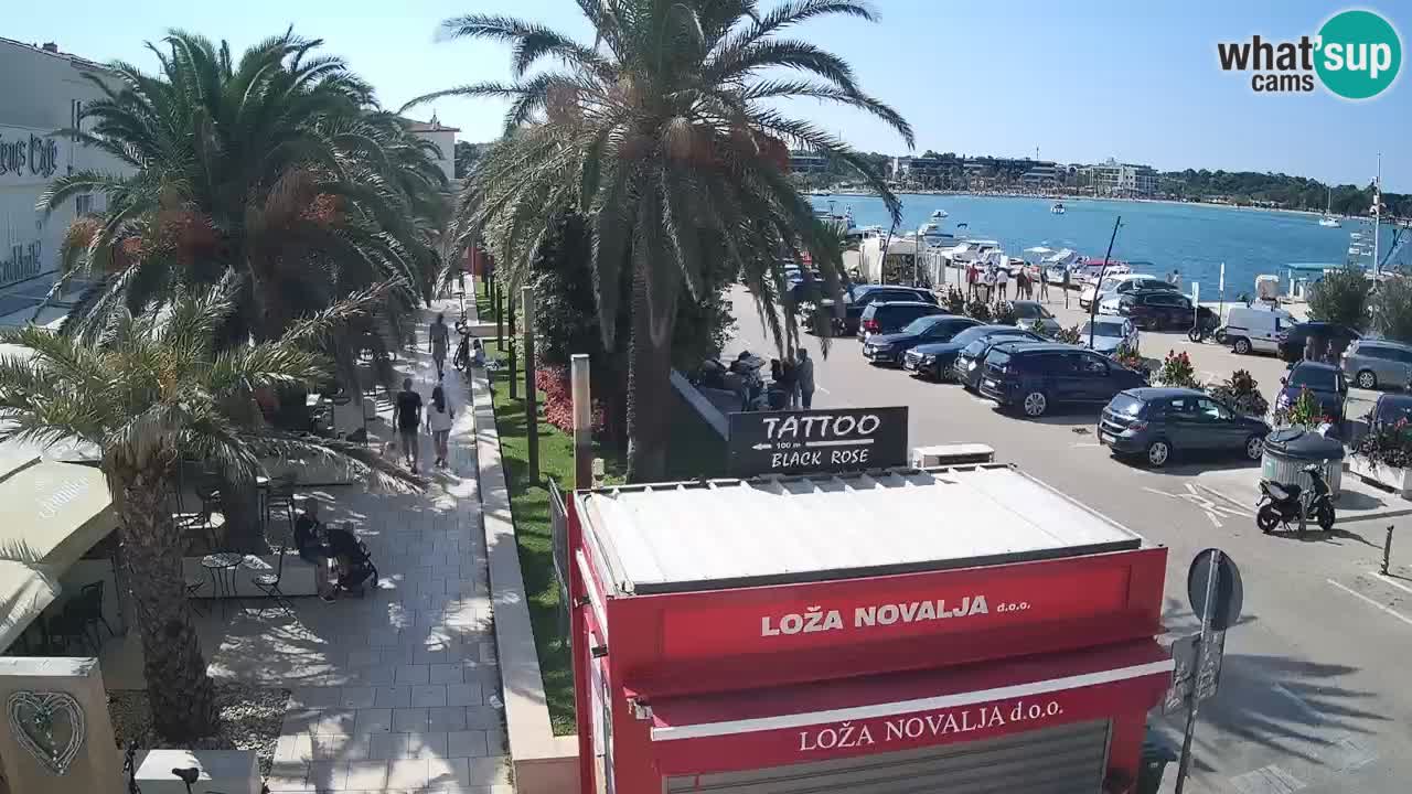 Webcam Novalja – Obala Petra Krešimira IV