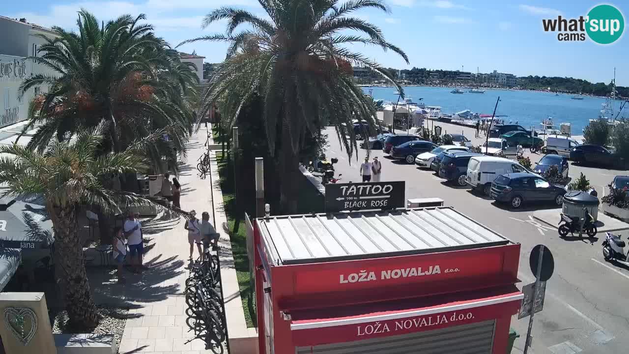 Camera en diecto Novalja – Obala Petra Krešimira IV