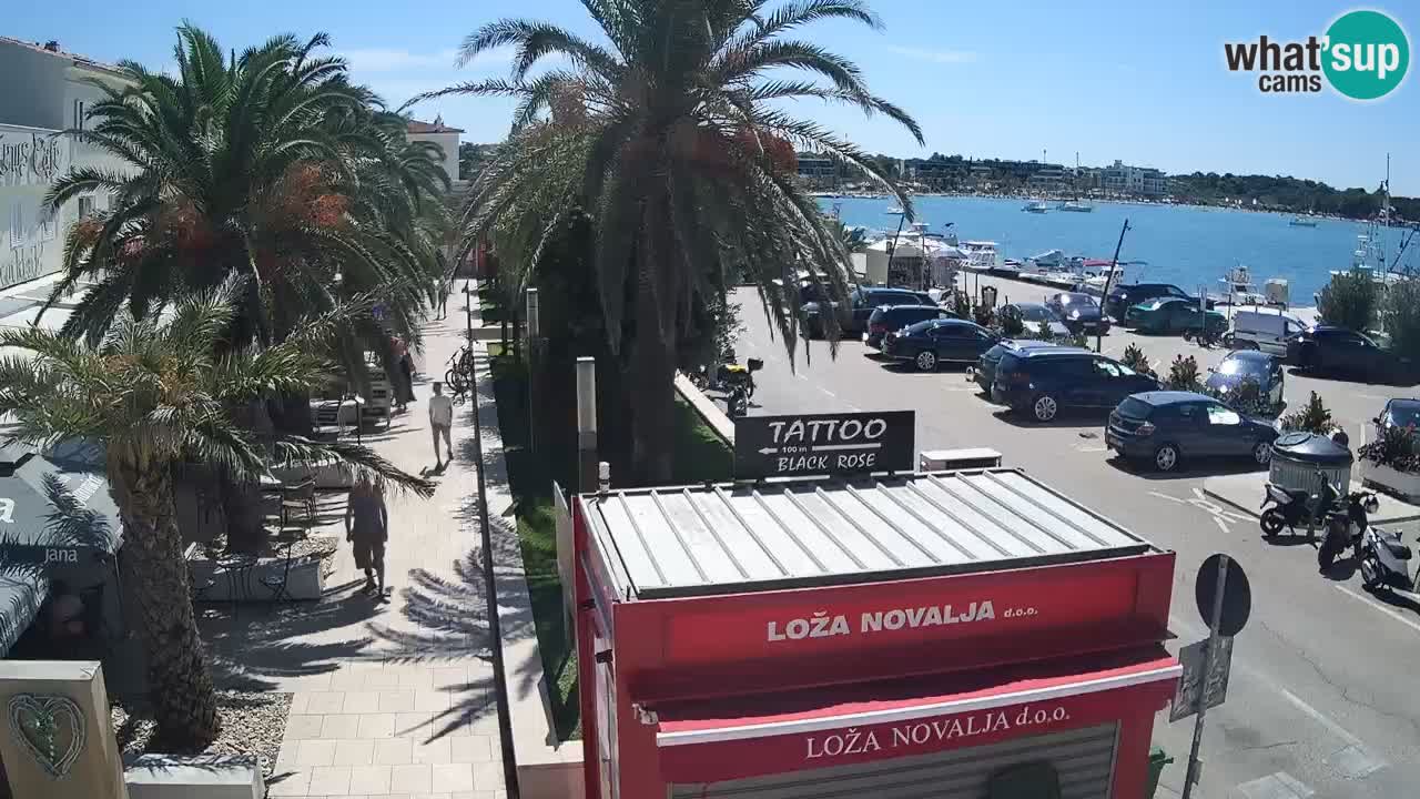 Live cam Novalja – Obala Petra Krešimira IV