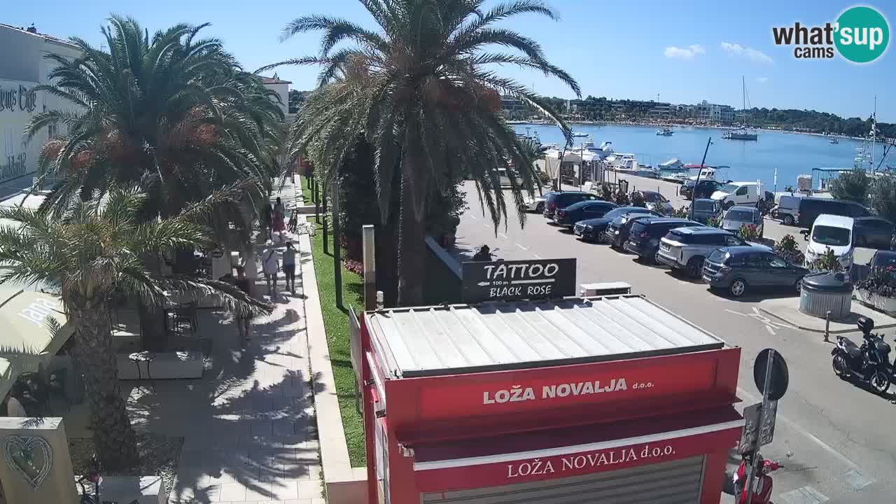 Camera en diecto Novalja – Obala Petra Krešimira IV