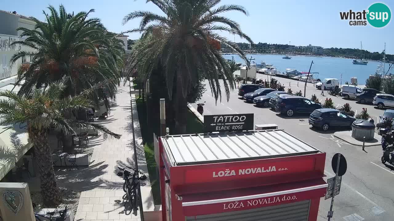 Live cam Novalja – Obala Petra Krešimira IV