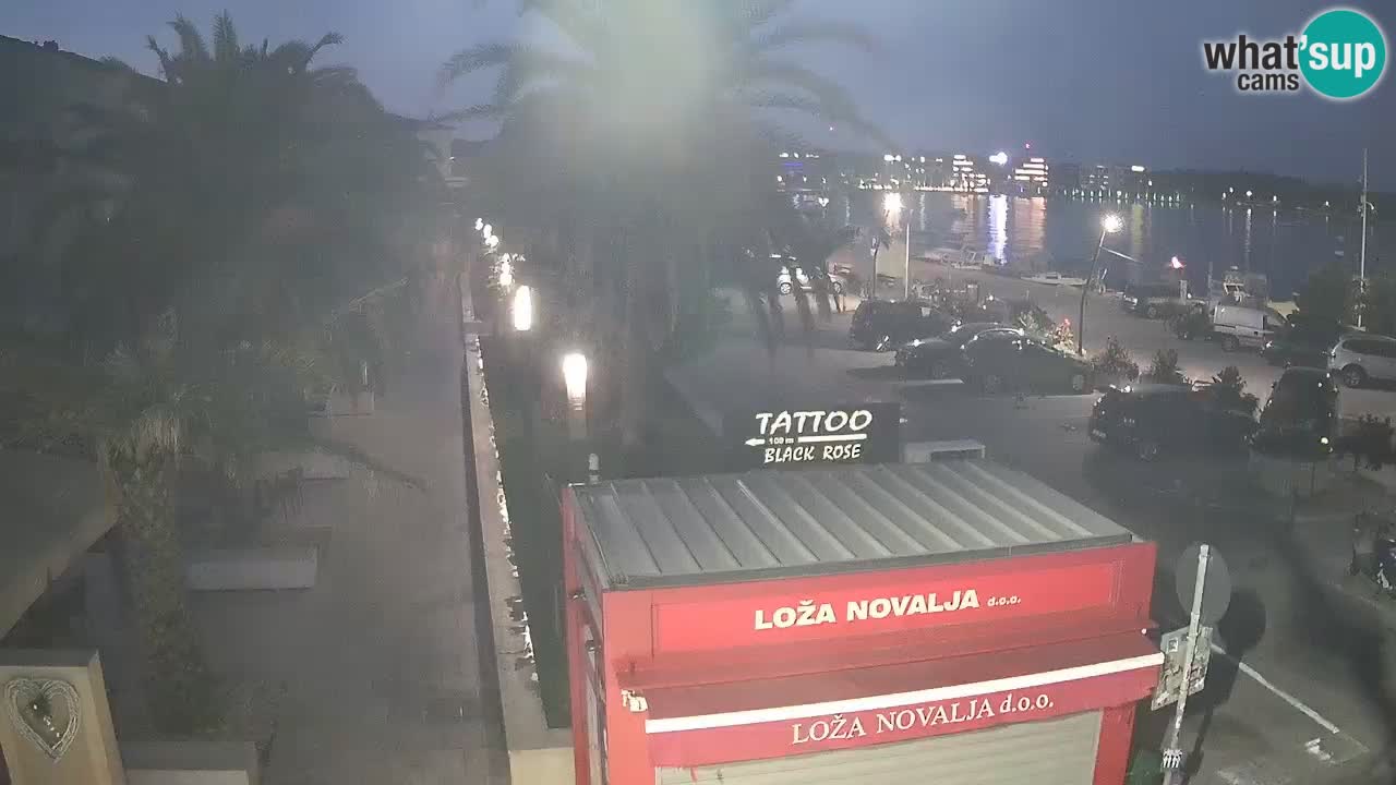 Camera en diecto Novalja – Obala Petra Krešimira IV