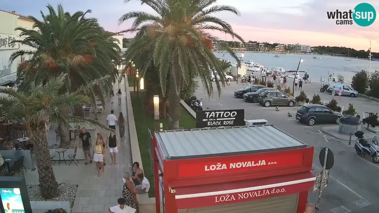 Camera en diecto Novalja – Obala Petra Krešimira IV