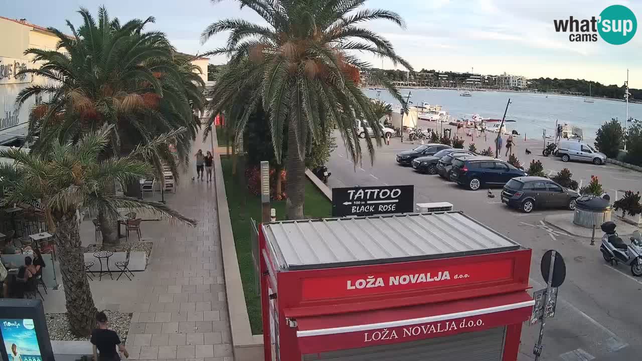 Camera en diecto Novalja – Obala Petra Krešimira IV