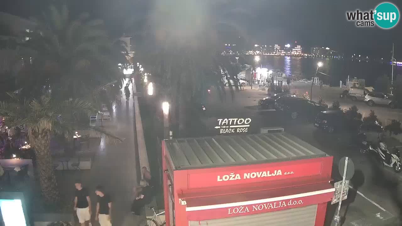 Camera en diecto Novalja – Obala Petra Krešimira IV