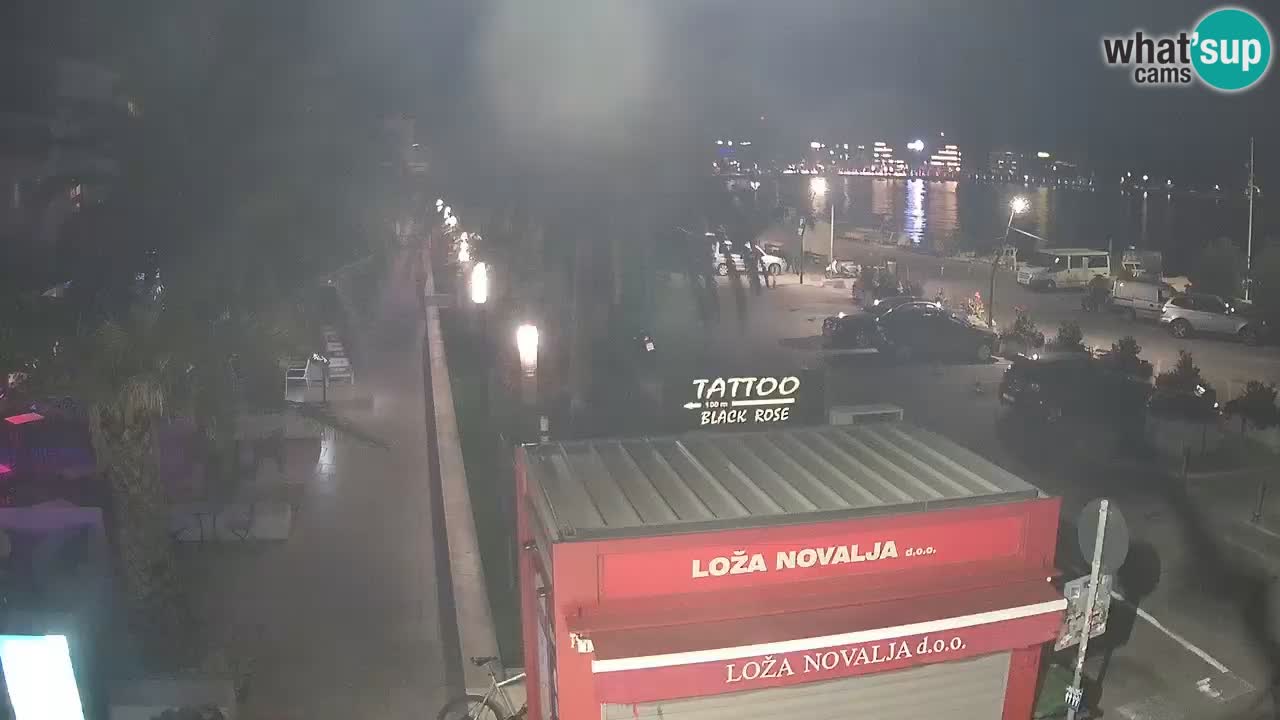 Camera en diecto Novalja – Obala Petra Krešimira IV
