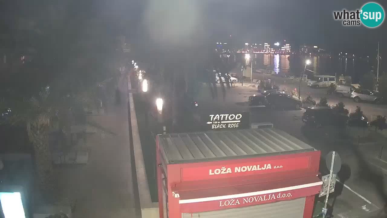Camera en diecto Novalja – Obala Petra Krešimira IV