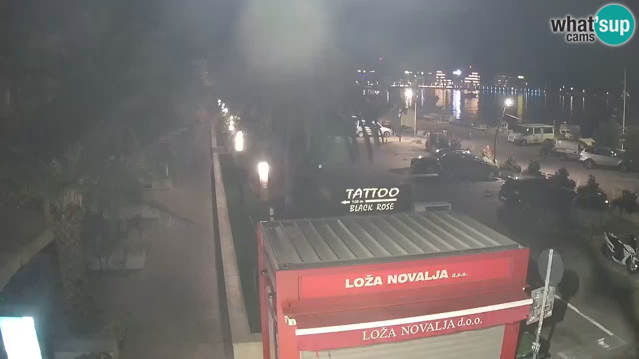 Camera en diecto Novalja – Obala Petra Krešimira IV