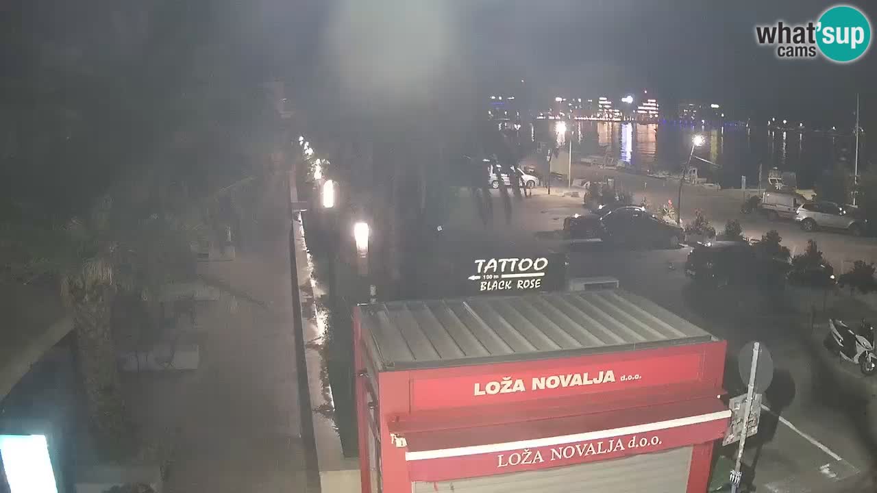 Camera en diecto Novalja – Obala Petra Krešimira IV