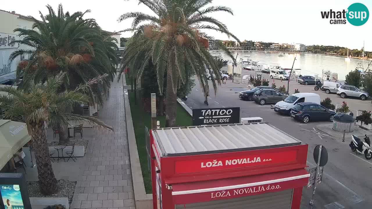 Camera en diecto Novalja – Obala Petra Krešimira IV