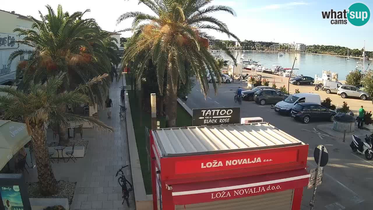 Camera en diecto Novalja – Obala Petra Krešimira IV