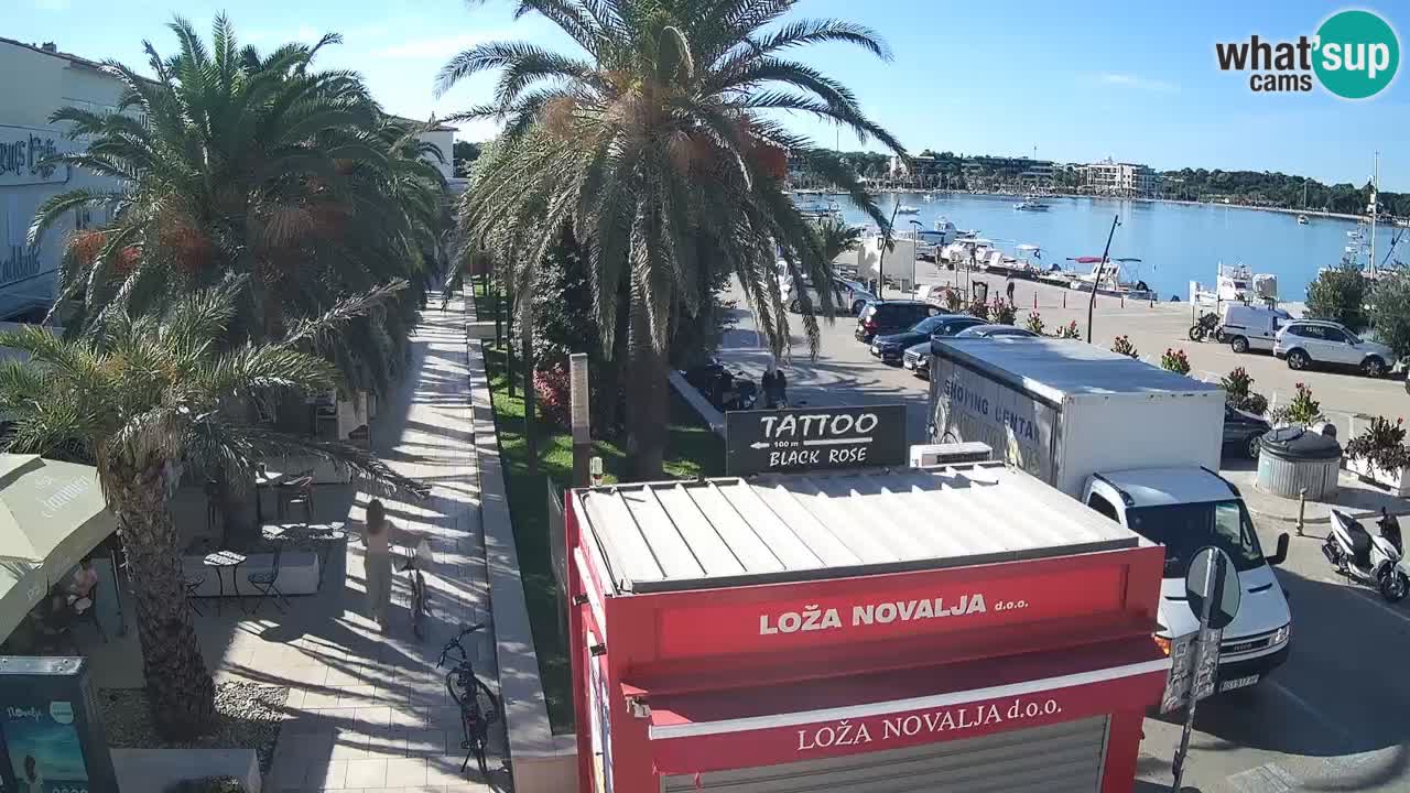 Web kamera Novalja – Obala Petra Krešimira IV