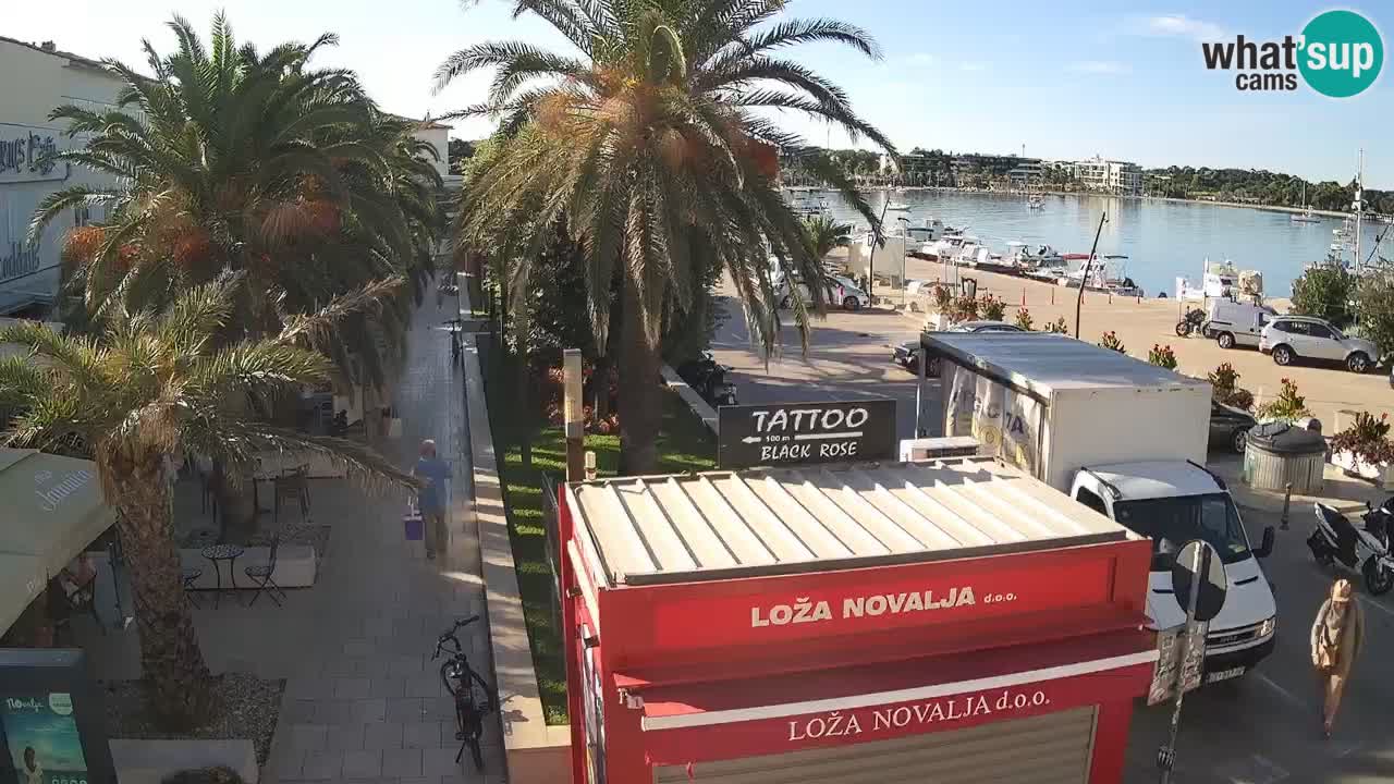 Camera en diecto Novalja – Obala Petra Krešimira IV