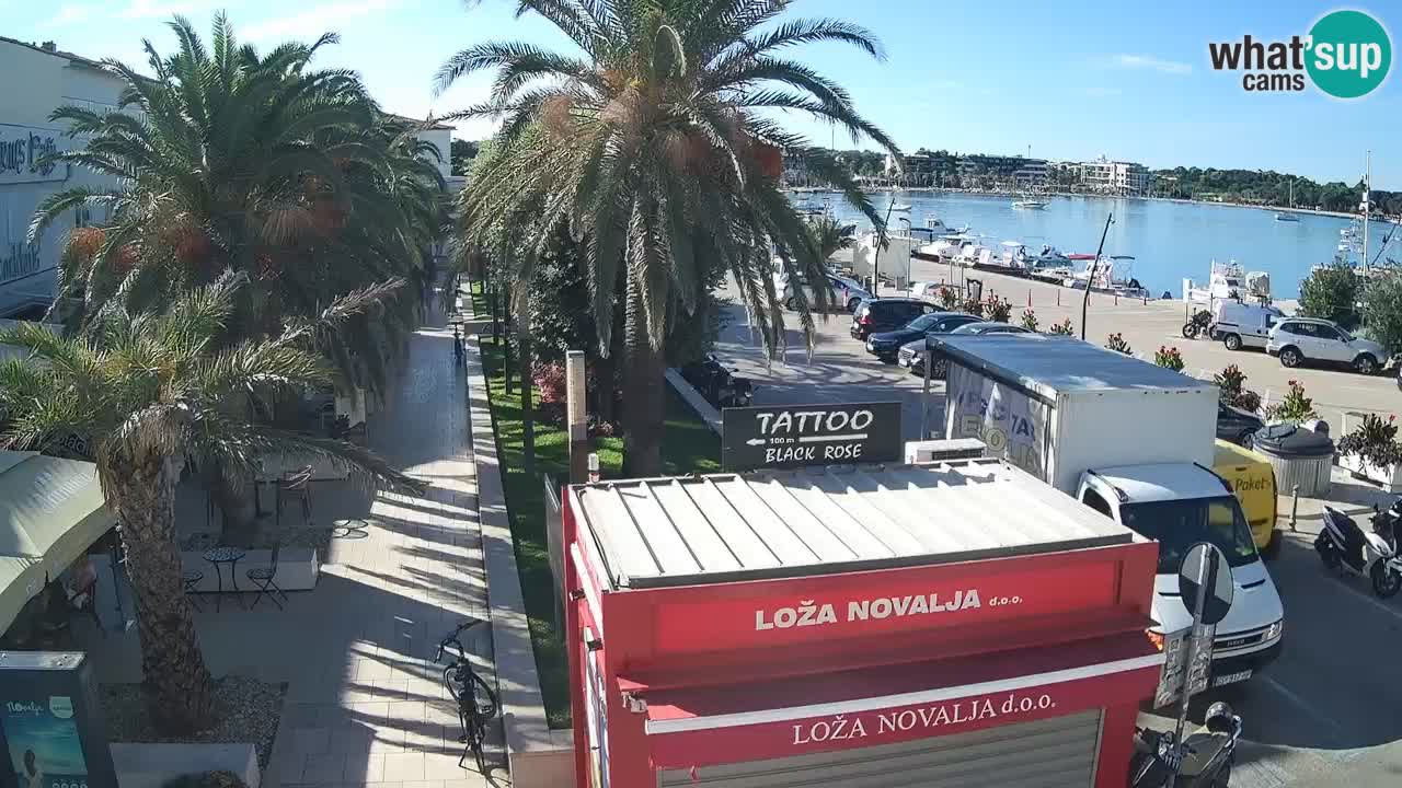 Camera en diecto Novalja – Obala Petra Krešimira IV