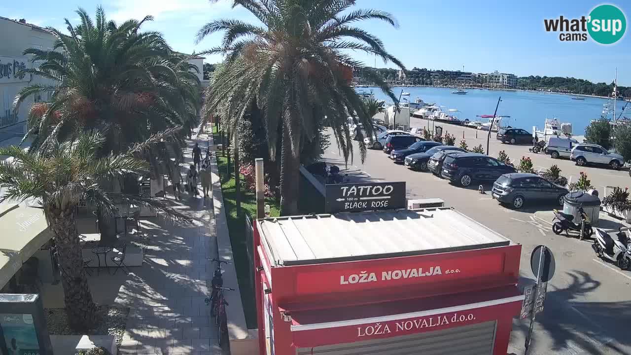 Camera en diecto Novalja – Obala Petra Krešimira IV