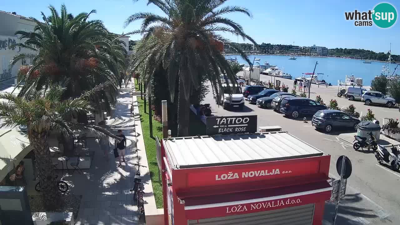 Web kamera Novalja – Obala Petra Krešimira IV
