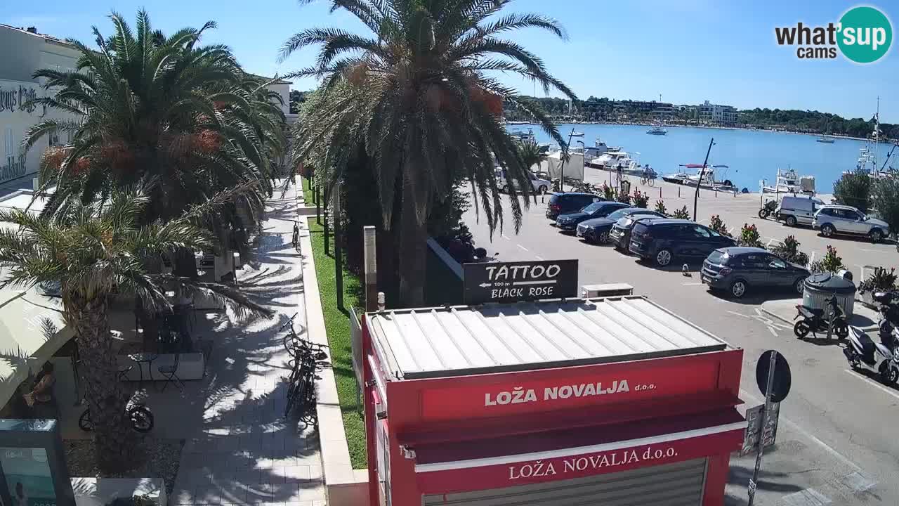 Web kamera Novalja – Obala Petra Krešimira IV