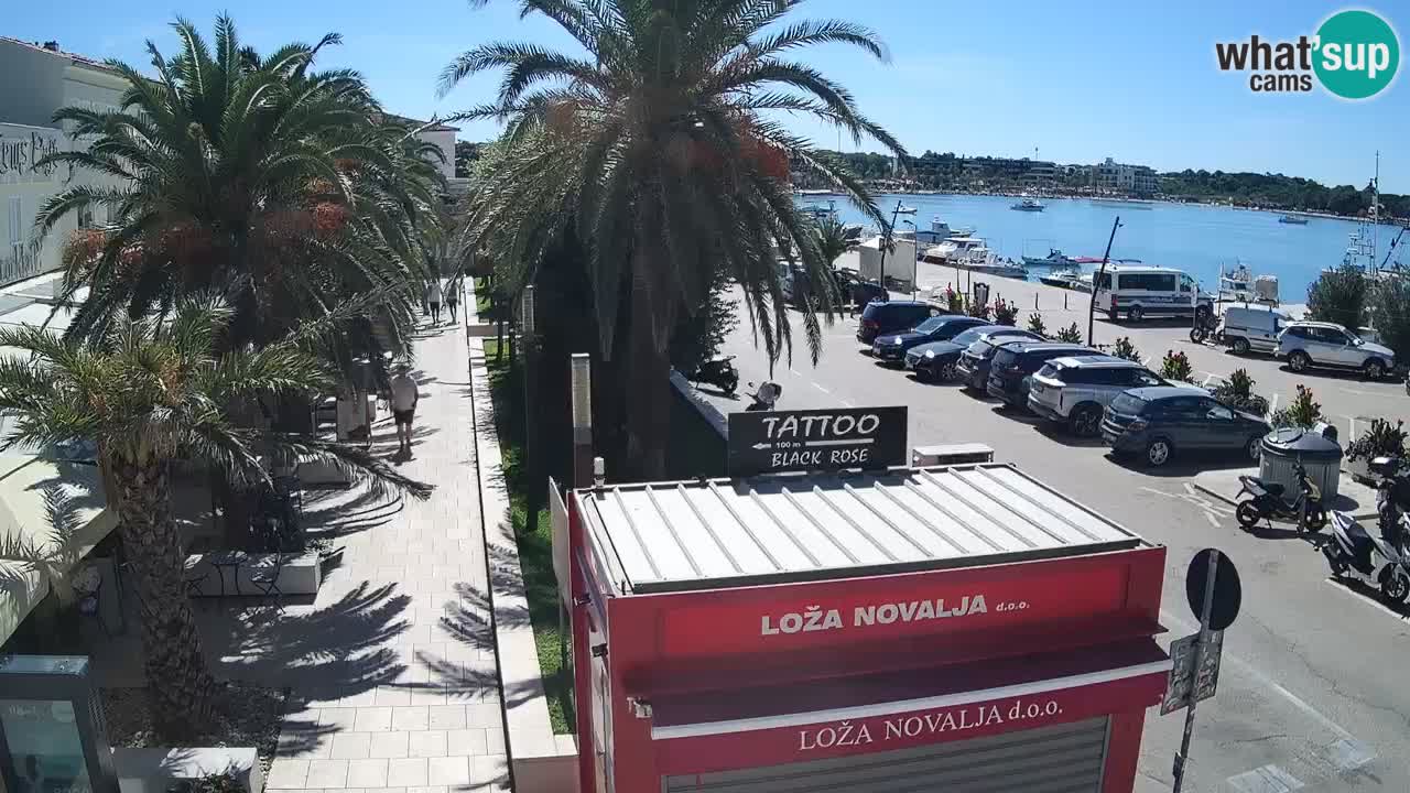 Live cam Novalja – Obala Petra Krešimira IV