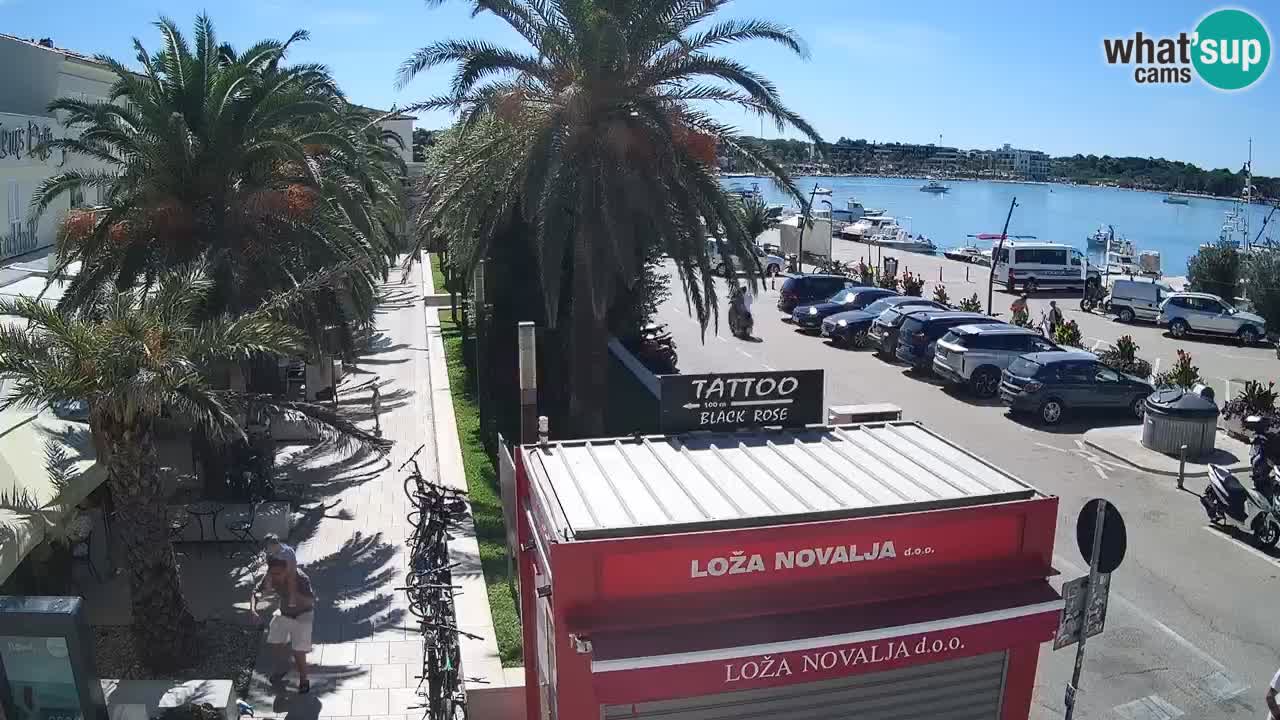Camera en diecto Novalja – Obala Petra Krešimira IV